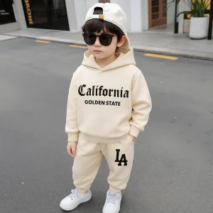 Hoodie +Pant Set