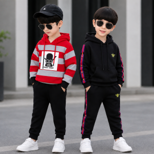 Hoodie +Pant 2 Set combo