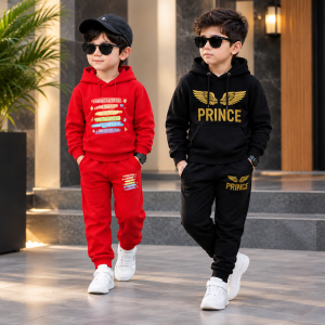 Hoodie +Pant 2 Set combo