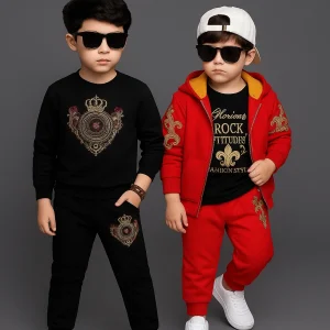 Hoodie +Pant 2 Set combo
